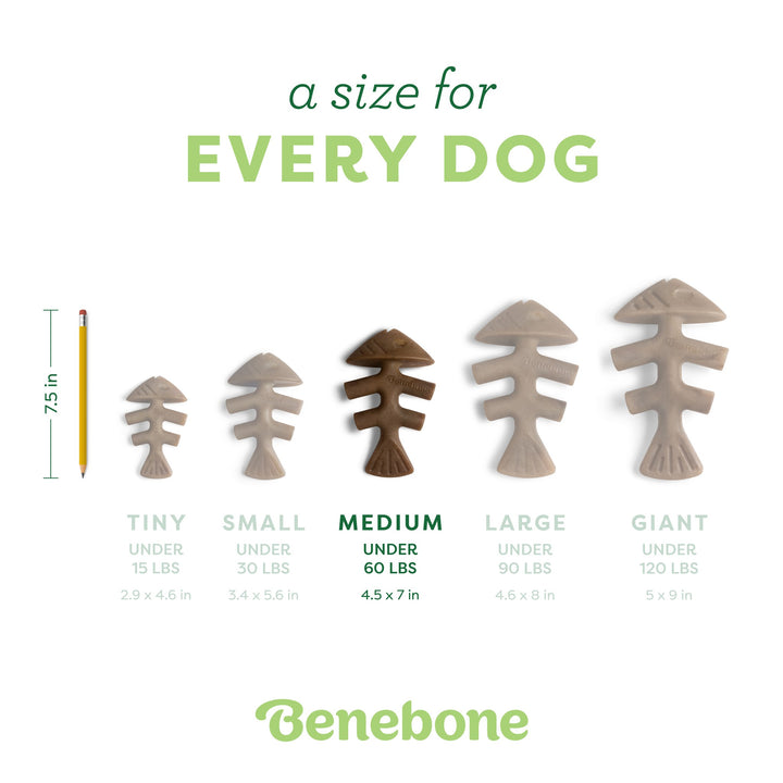 Benebone Fishbone Jack Salmon Medium