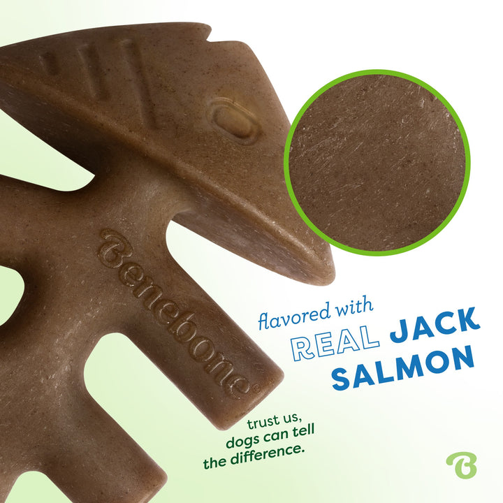 Benebone Fishbone Jack Salmon Large