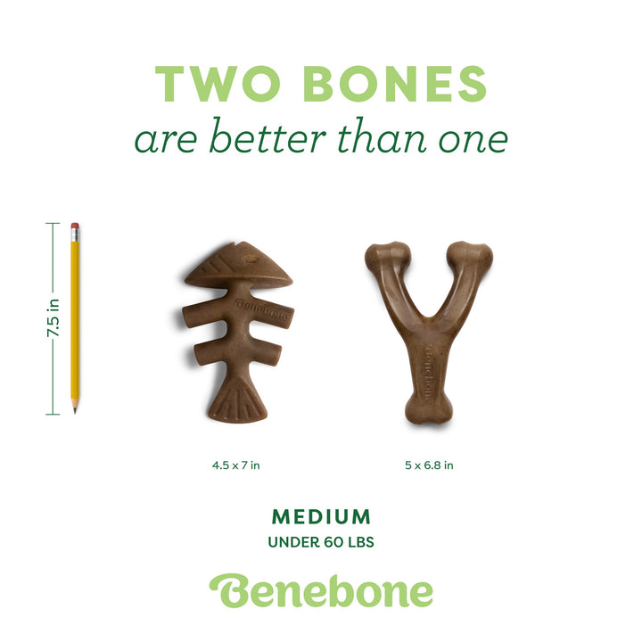 Benebone Medium 2pk Wishbone and Fishbone