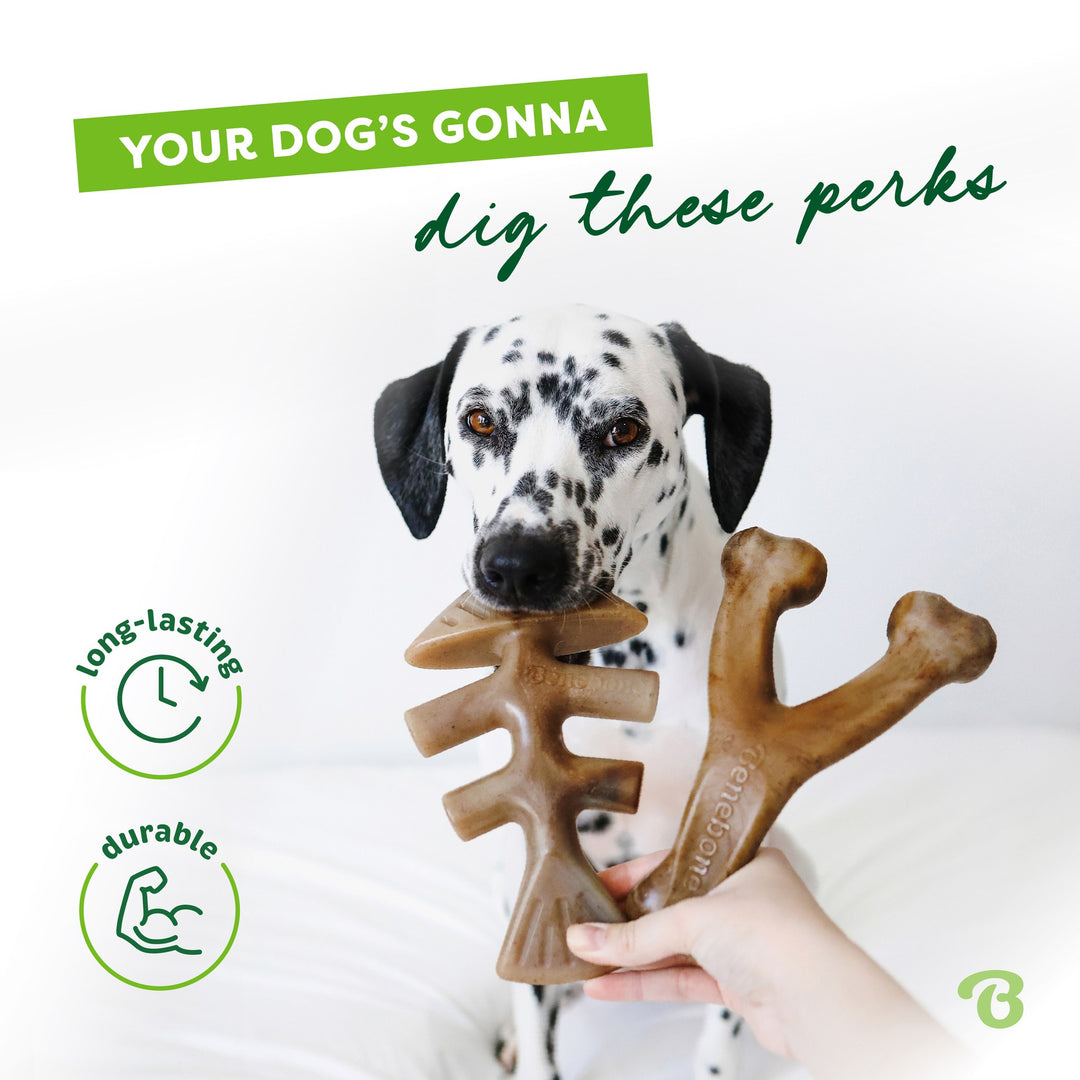 Benebone Medium 2pk Wishbone and Fishbone