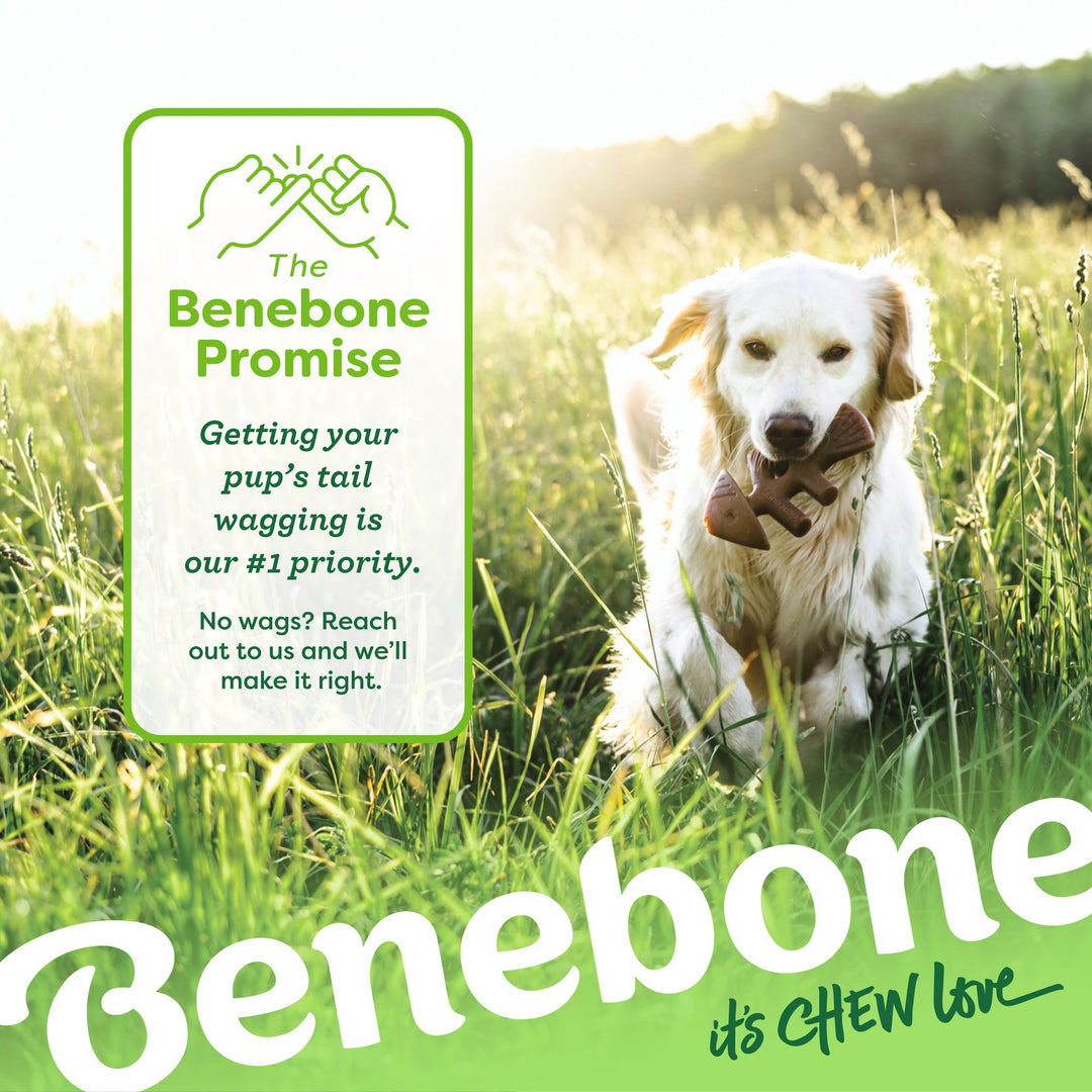 Benebone Giant Fishbone