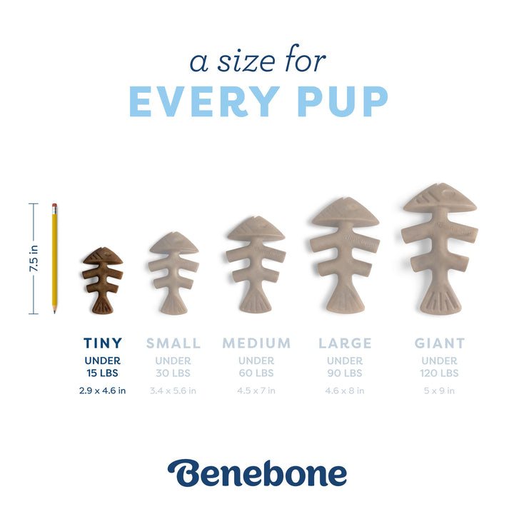 Benebone Puppy Fishbone 2 Pack