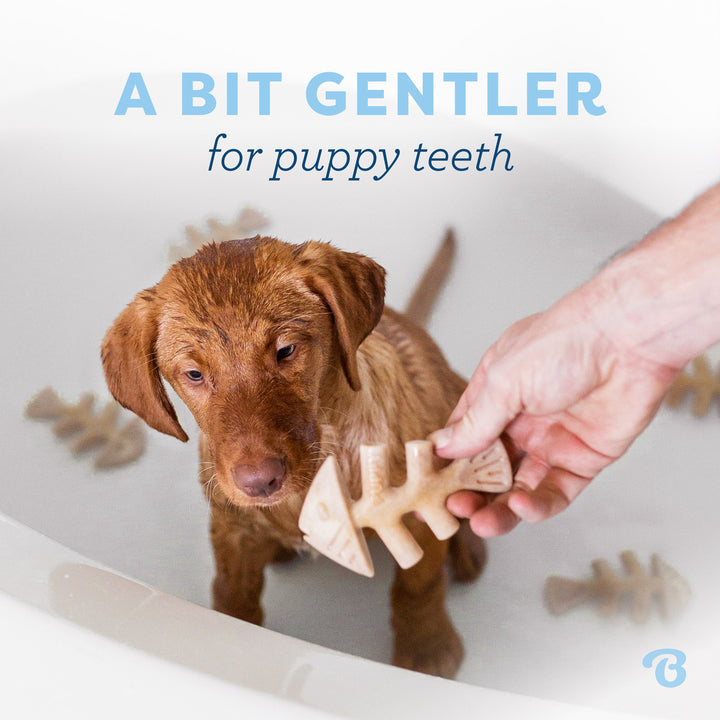 Benebone Puppy Fishbone 2 Pack