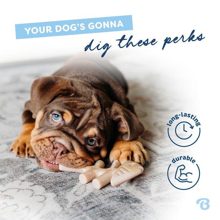 Benebone Puppy Fishbone 2 Pack