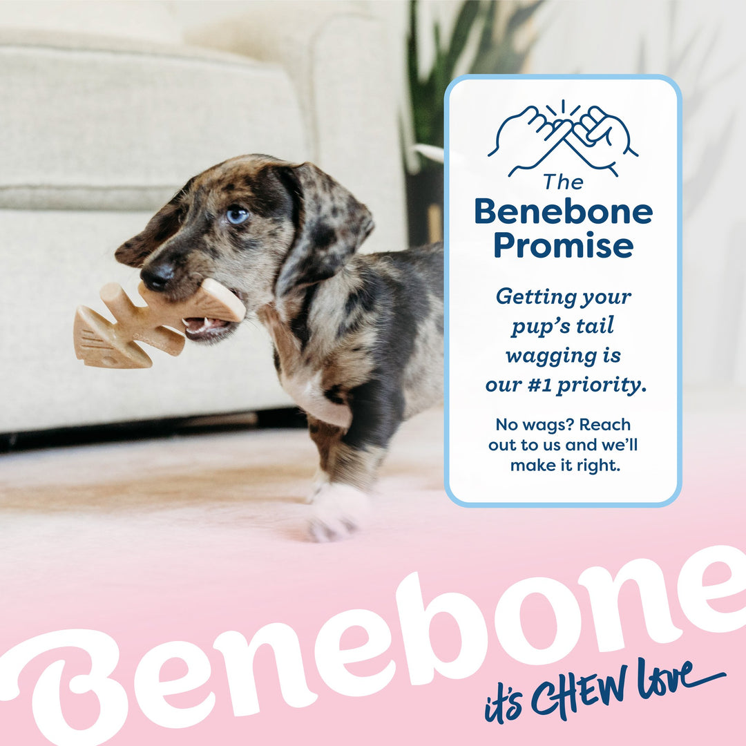 Benebone Puppy Fishbone 2 Pack