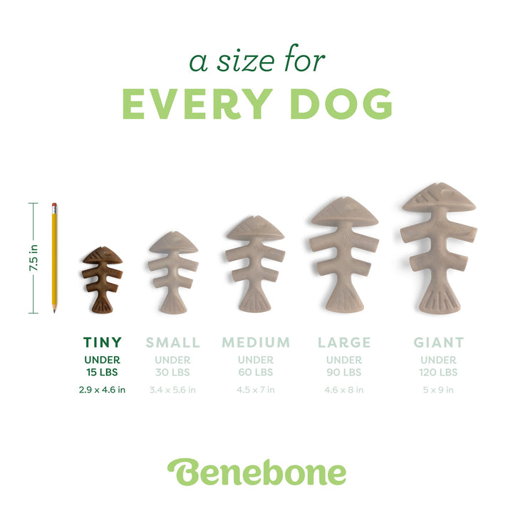 Benebone Tiny Fishbone 2pk