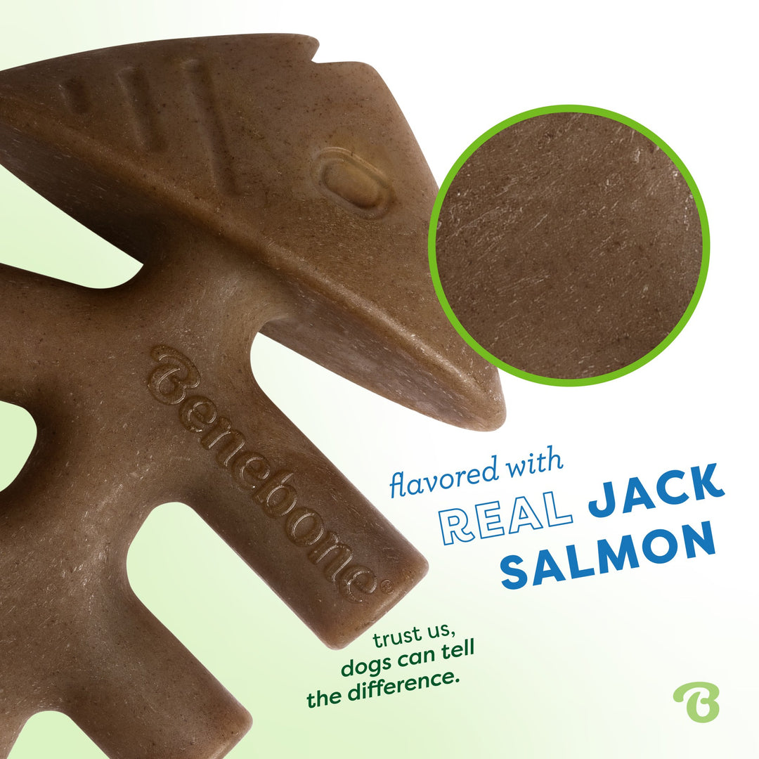 Benebone Tiny Fishbone 2pk