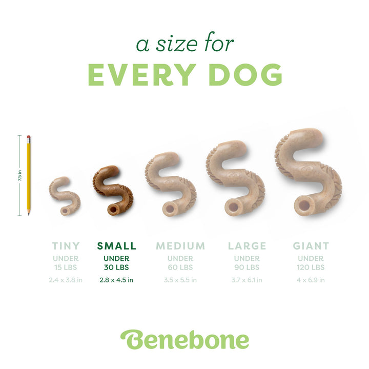 Benebone Tripe Bone Small