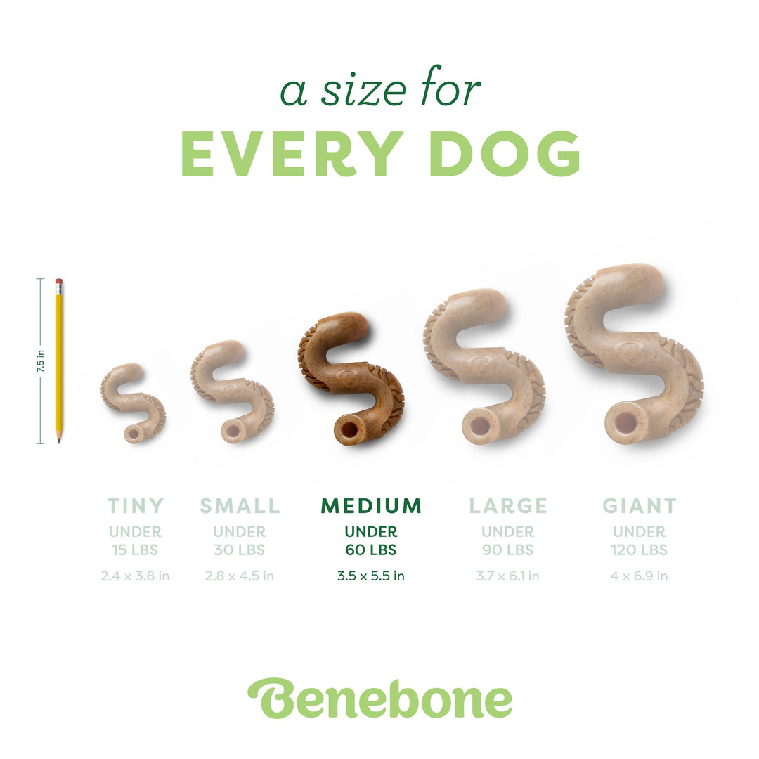 Benebone Beef Tripe Bone Medium