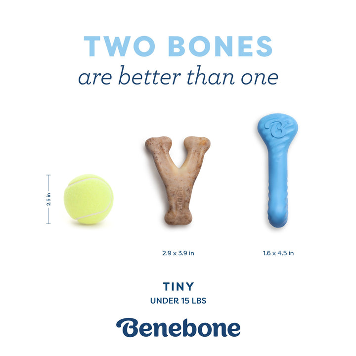 Benebone Puppy Rubber Bone  Wishbone Bacon Tiny 2 pk