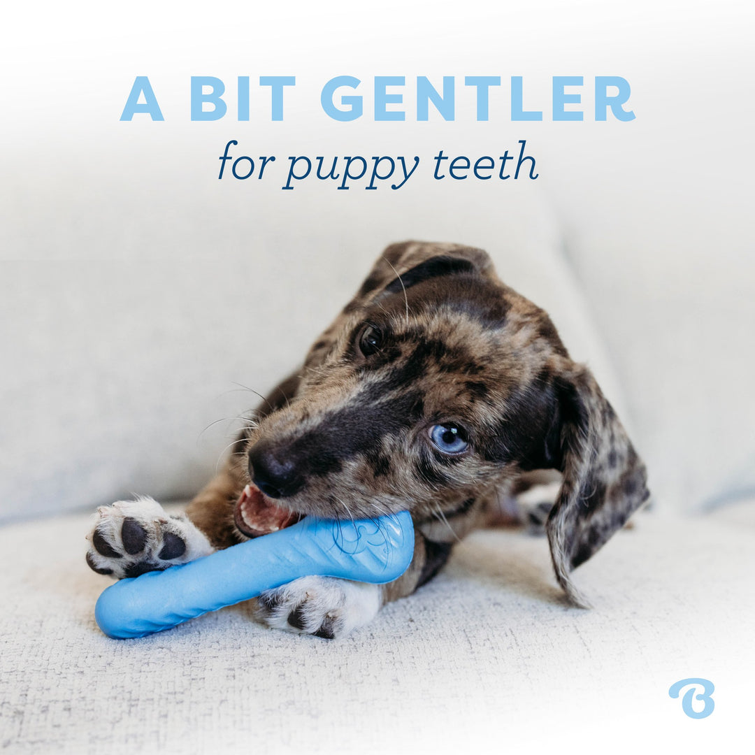 Benebone Puppy Rubber Bone  Wishbone Bacon Tiny 2 pk