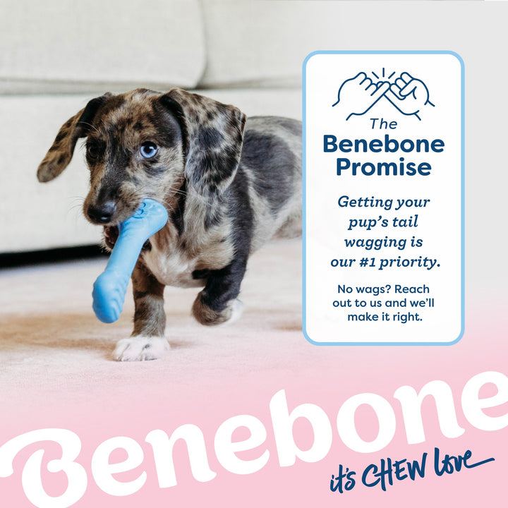 Benebone Puppy Rubber Bone  Wishbone Bacon Tiny 2 pk