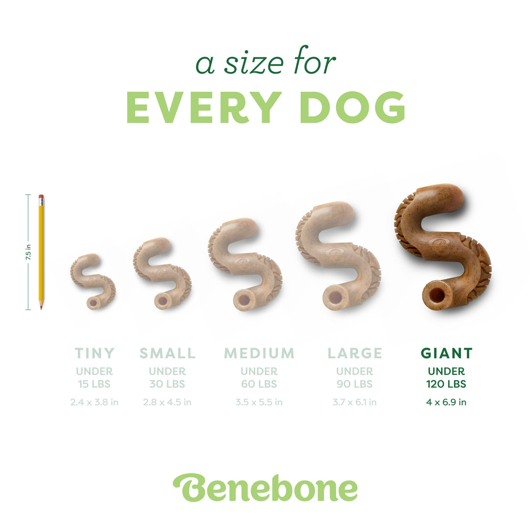 Benebone Dog Toy Tripe Bone Giant