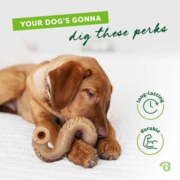 Benebone Dog Toy Tripe Bone Giant