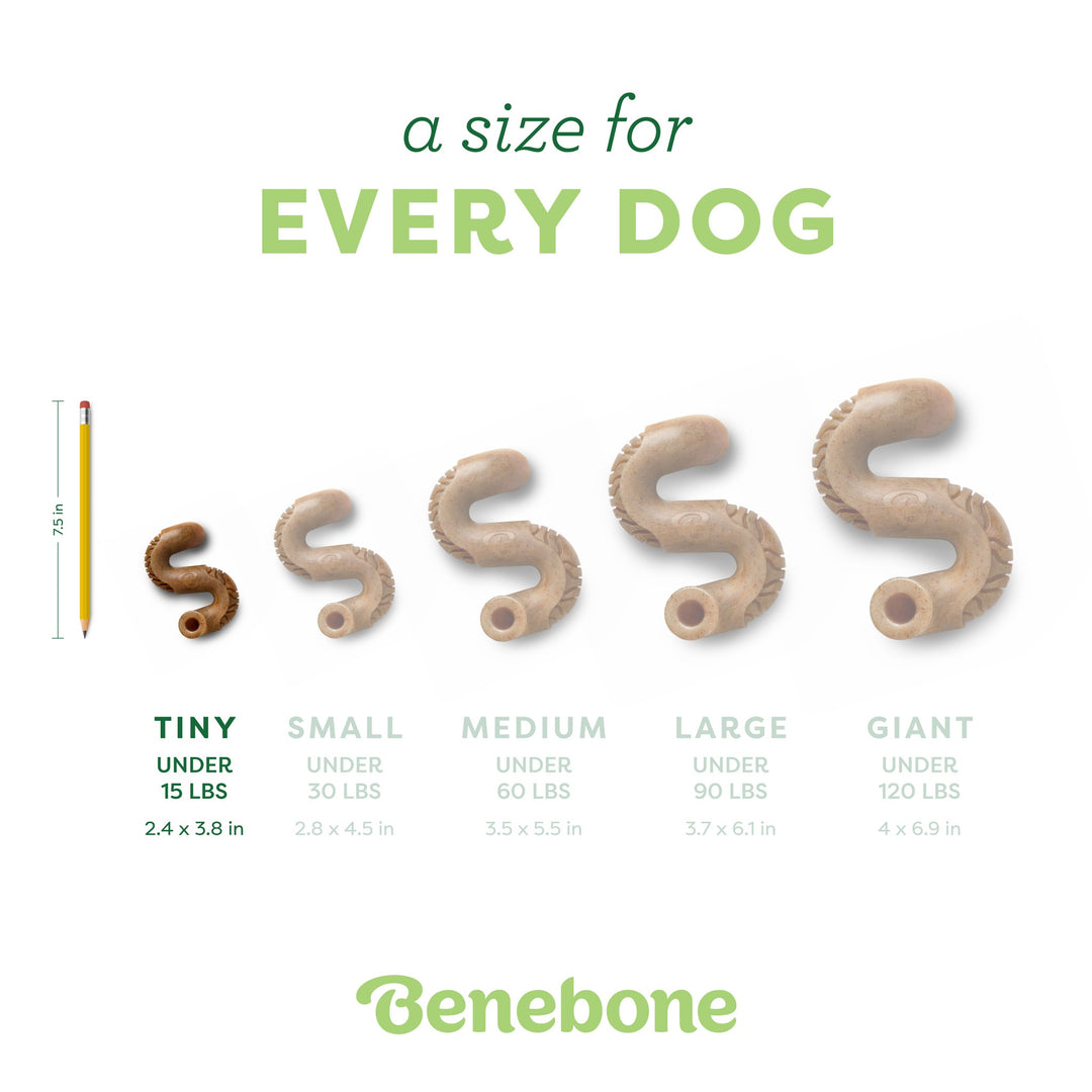 Benebone Dog Toy Puppy Tripe Bone 2 Pack