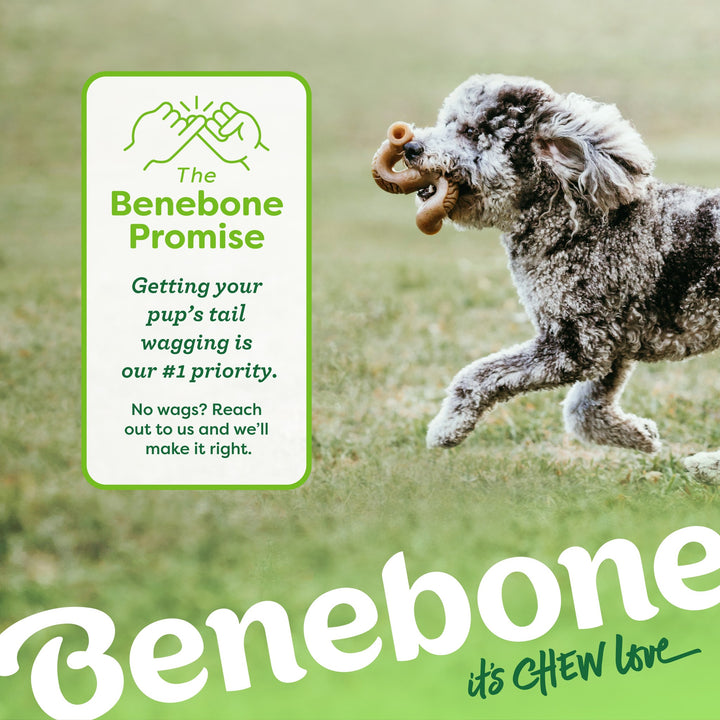 Benebone Dog Toy Puppy Tripe Bone 2 Pack