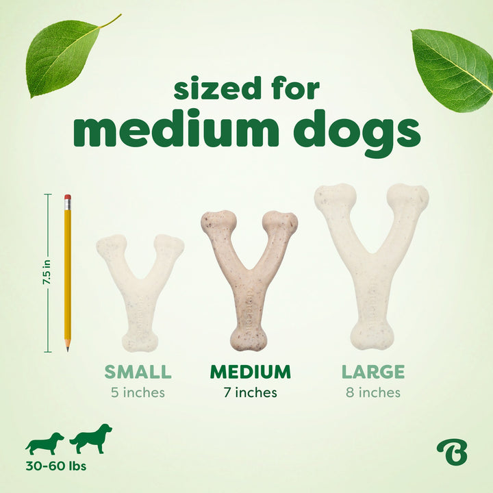 Benebone Eco Bone Green Wishbone Bacon Medium