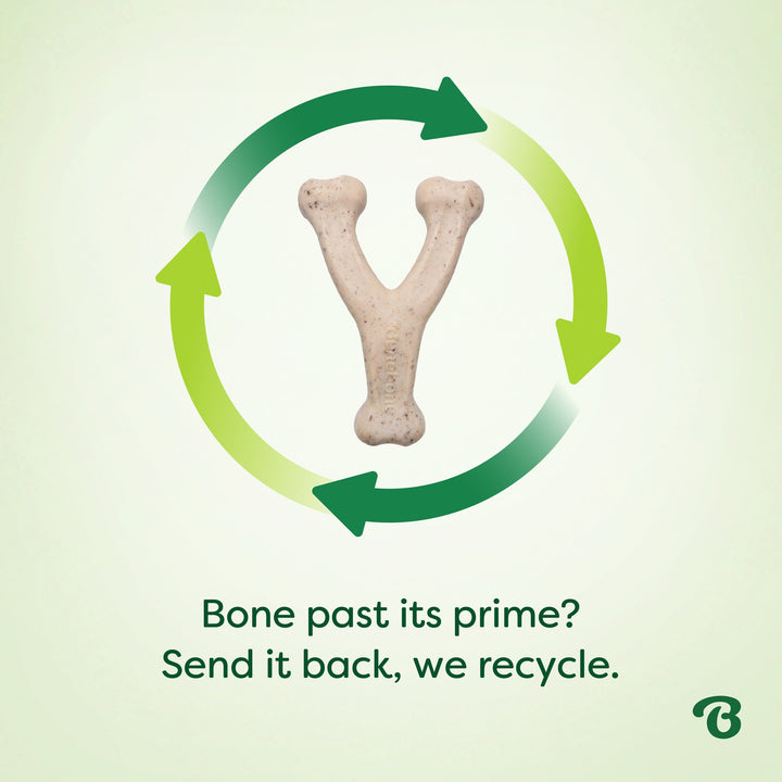 Benebone Eco Bone Green Wishbone Bacon Large