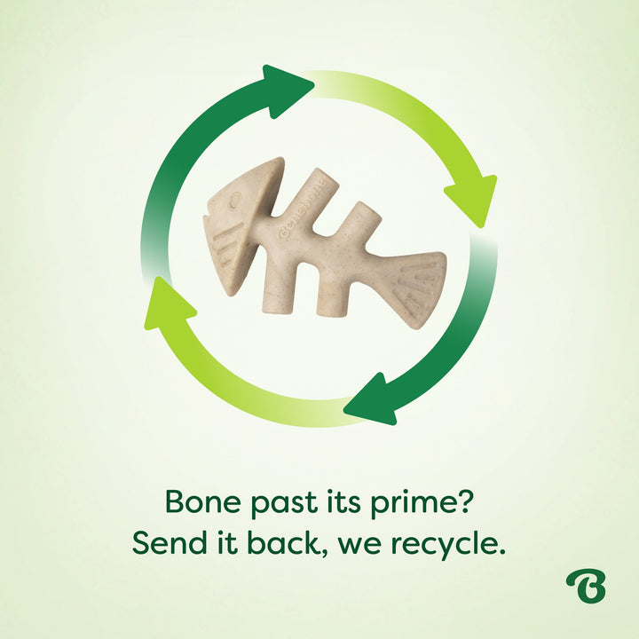 Benebone Eco Bone Green Fishbone Medium