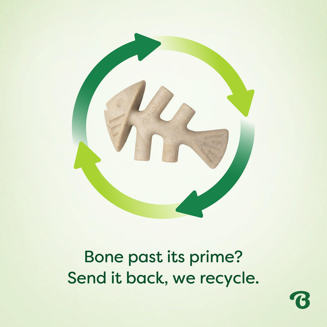 Benebone Eco Bone Green Fishbone Large