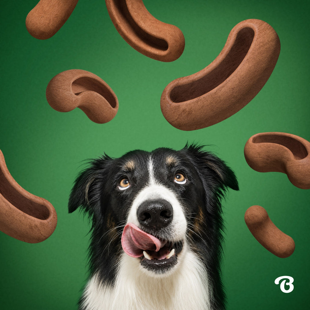 Benebone Dog Treat Pod Refill Bacon