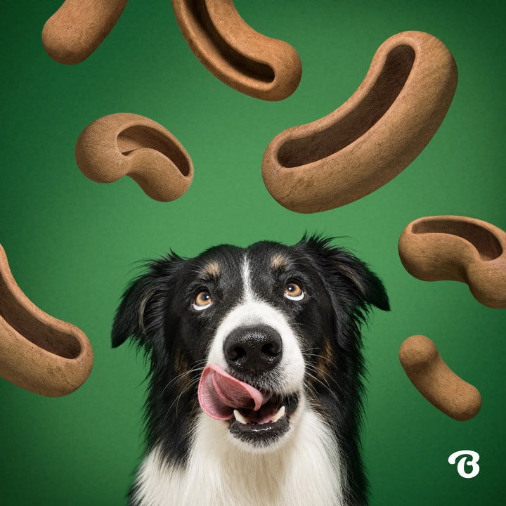 Benebone Dog Treat Pod Refill Peanut
