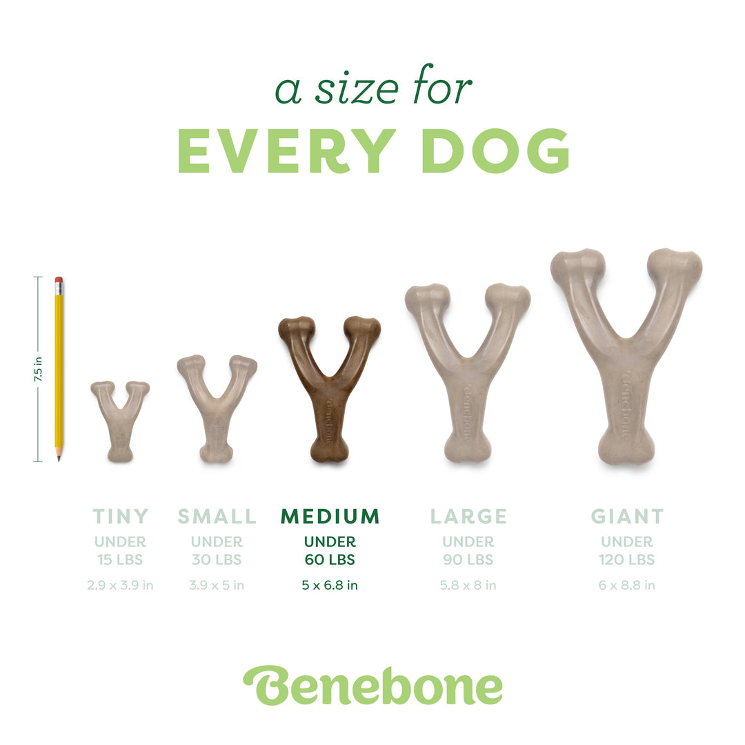 Benebone Peanut Butter Flavored Wishbone Regular Chew Toy 5.4oz