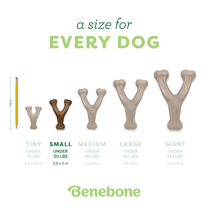 Benebone Bacon Flavored Wishbone Mini Chew Toy 2.9oz