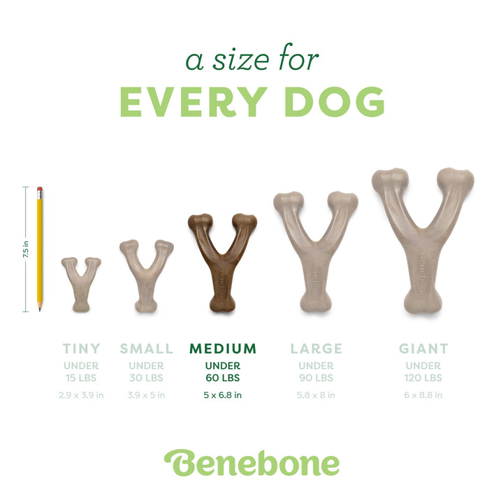 Benebone Chicken Flavored Wishbone Regular Chew Toy 5.4oz