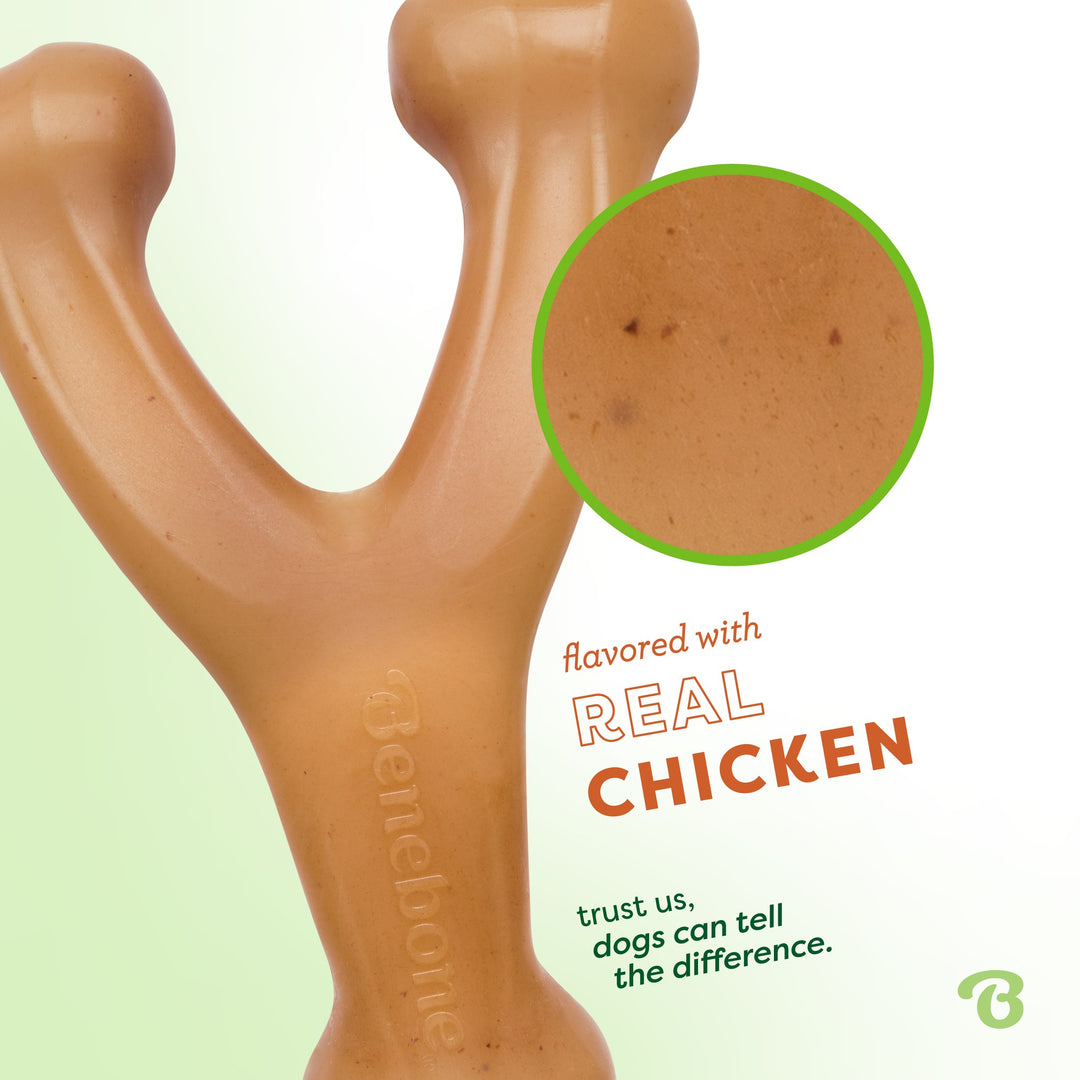 Benebone Chicken Flavored Wishbone Mini Chew Toy 2.9oz