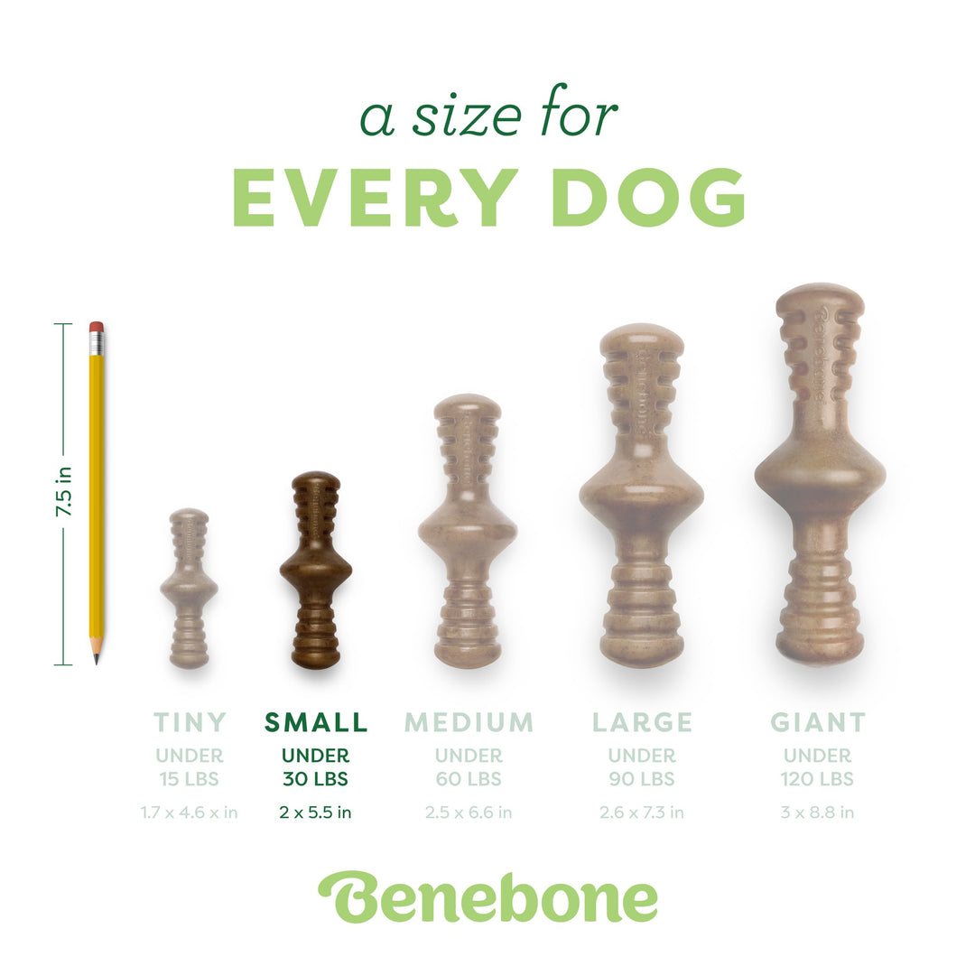 Benebone Bacon Small Zaggler