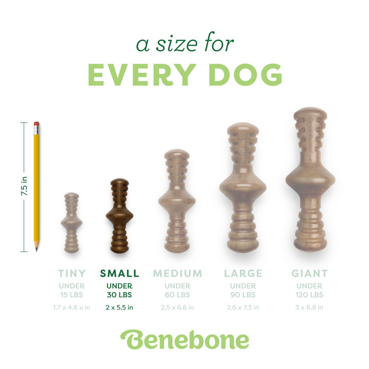 Benebone Bacon Small Zaggler