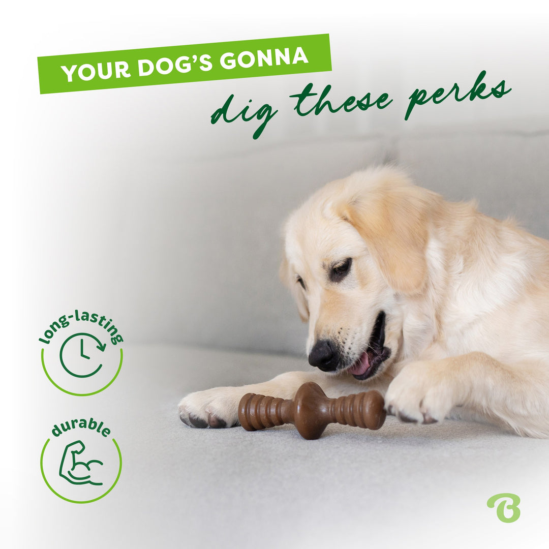 Benebone Bacon Small Zaggler