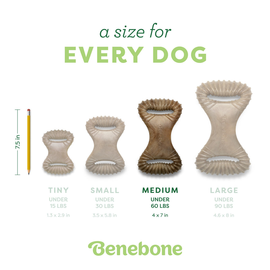 Benebone Bacon Flavored Rocking Dental Chew Toy 8.1oz