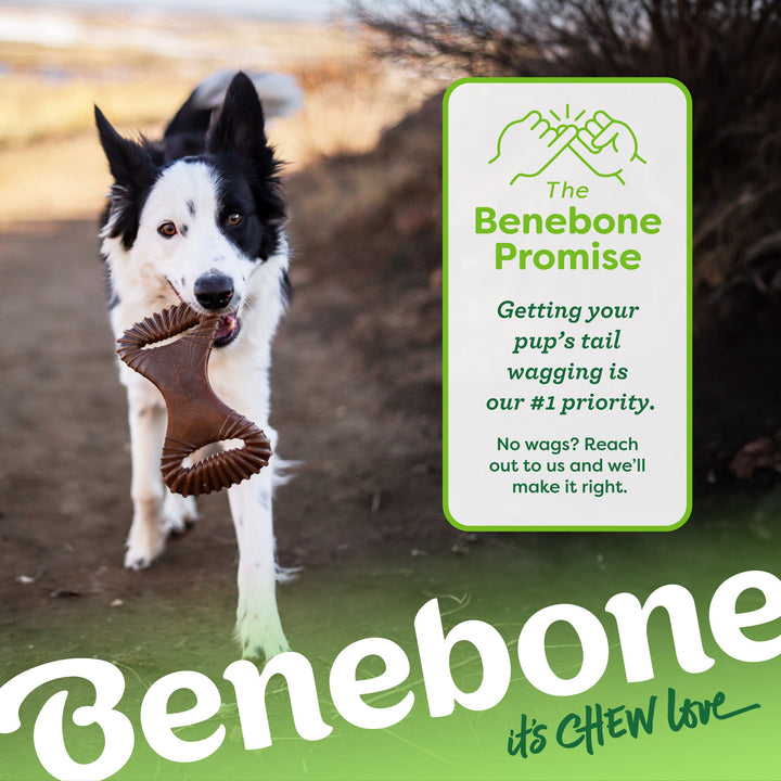 Benebone Bacon Flavored Rocking Dental Chew Toy 8.1oz
