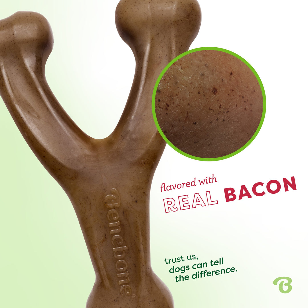 Benebone Wishbone Large Bacon