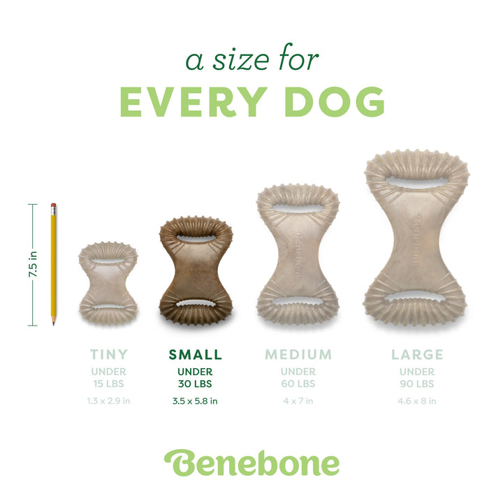 Benebone Dental Chew Small Bacon