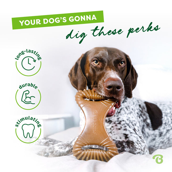 Benebone Dental Chew Bacon Lg