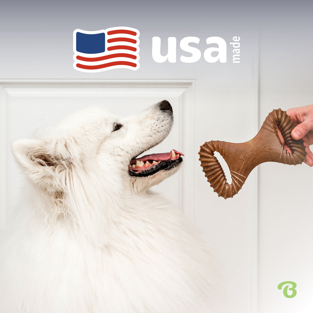 Benebone Large Dental Chew Chicken