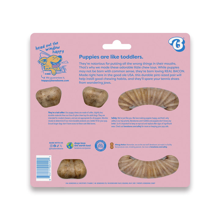 Benebone Puppy Pack Bacon