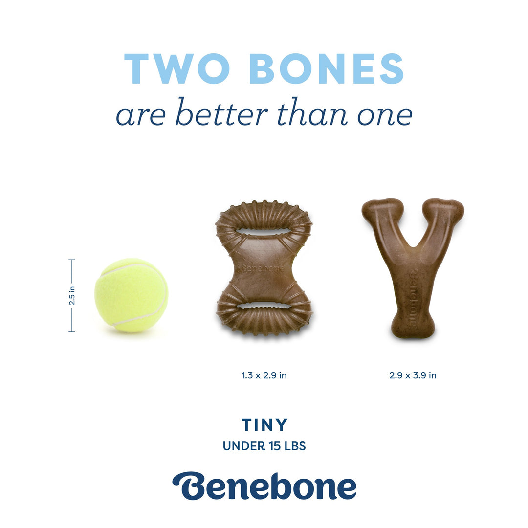 Benebone Puppy Pack Bacon