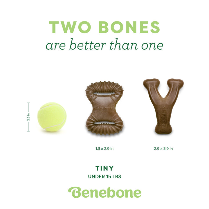 Benebone Tiny 2Pack Bacon Flavored Bones