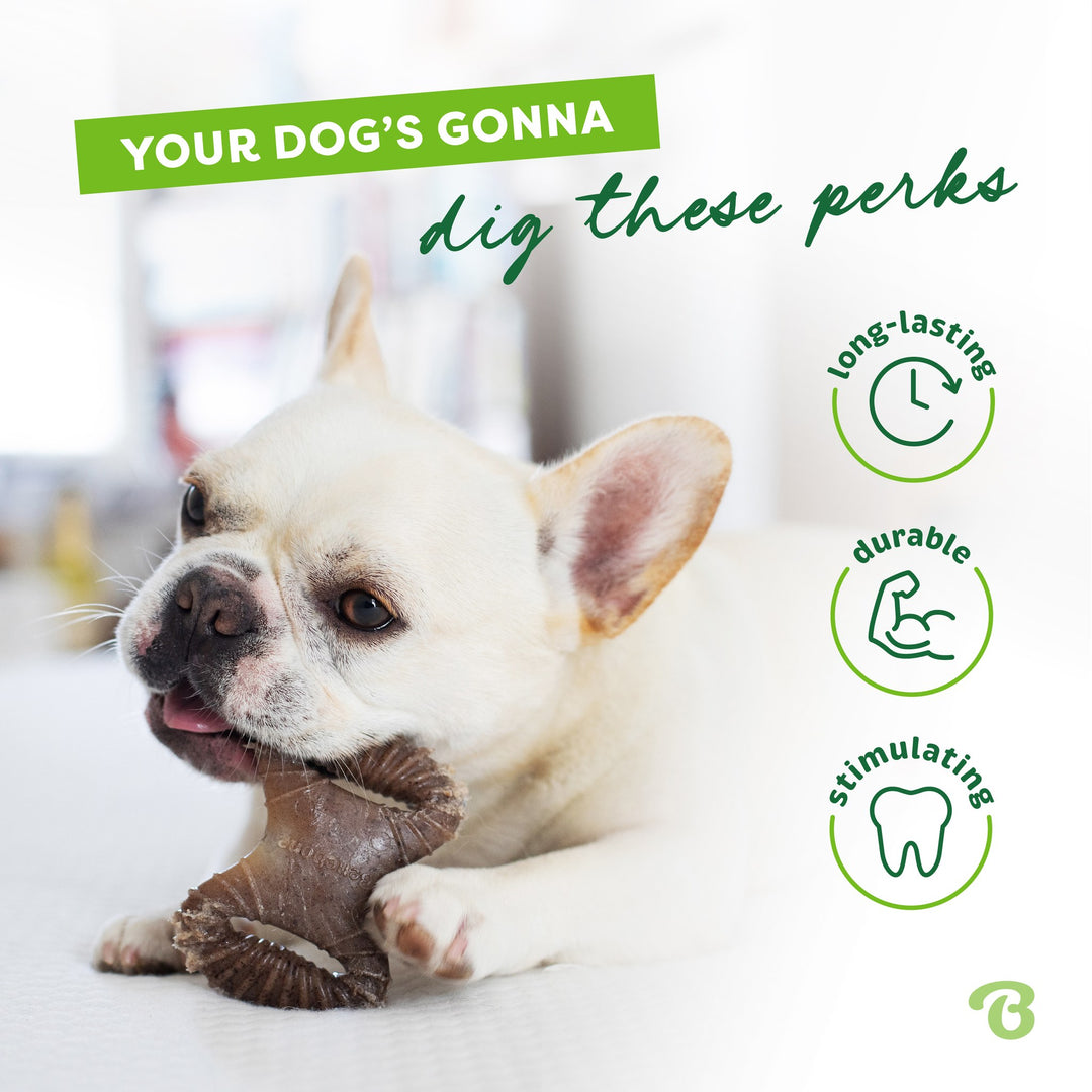 Benebone Tiny 2Pack Bacon Flavored Bones