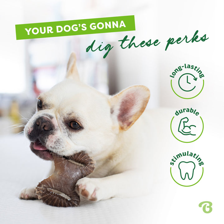 Benebone Tiny 2Pack Bacon Flavored Bones