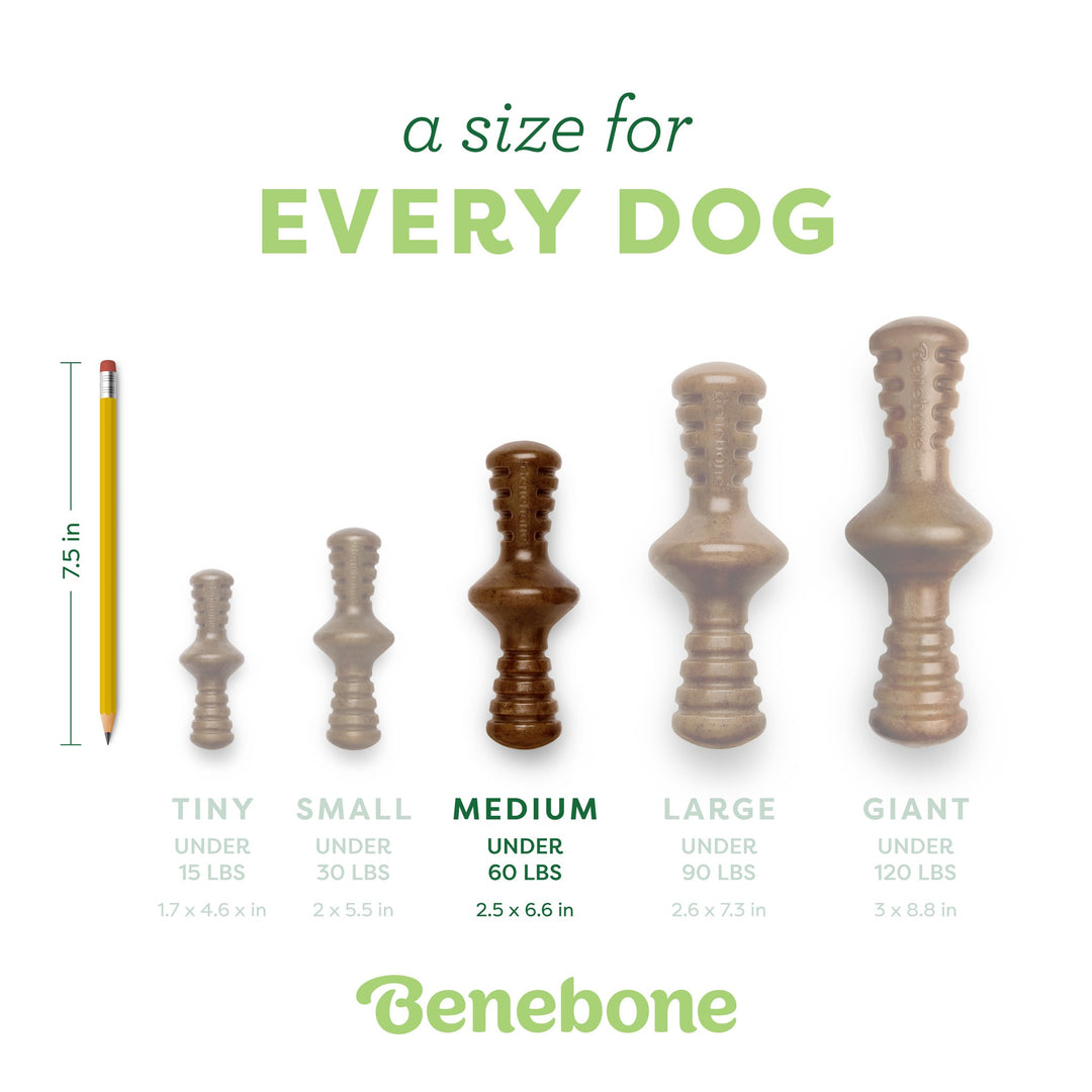 Benebone Bacon Medium Zaggler