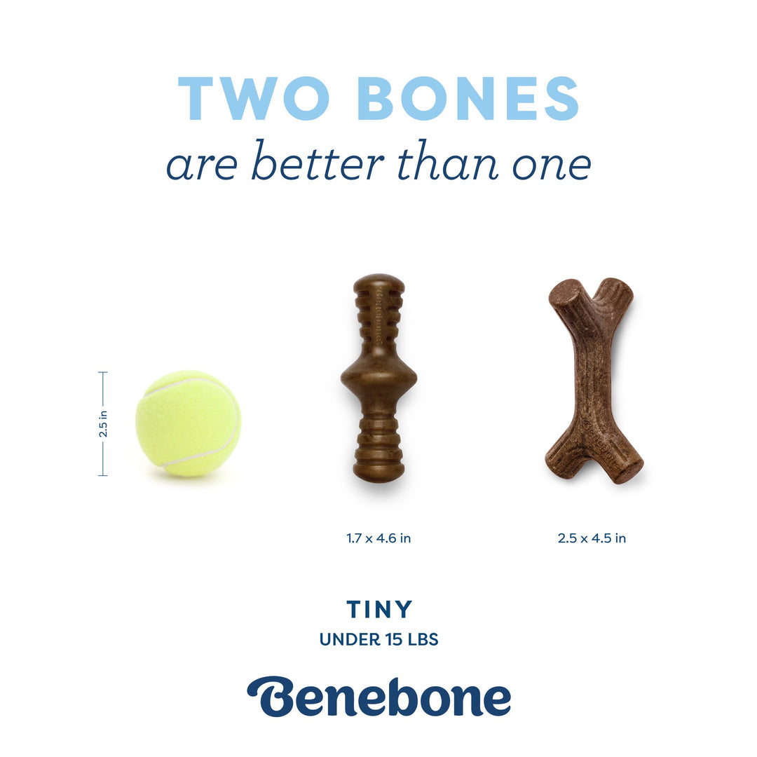 Benebone Puppy Pack Maplestick Wood and Bacon Zaggler