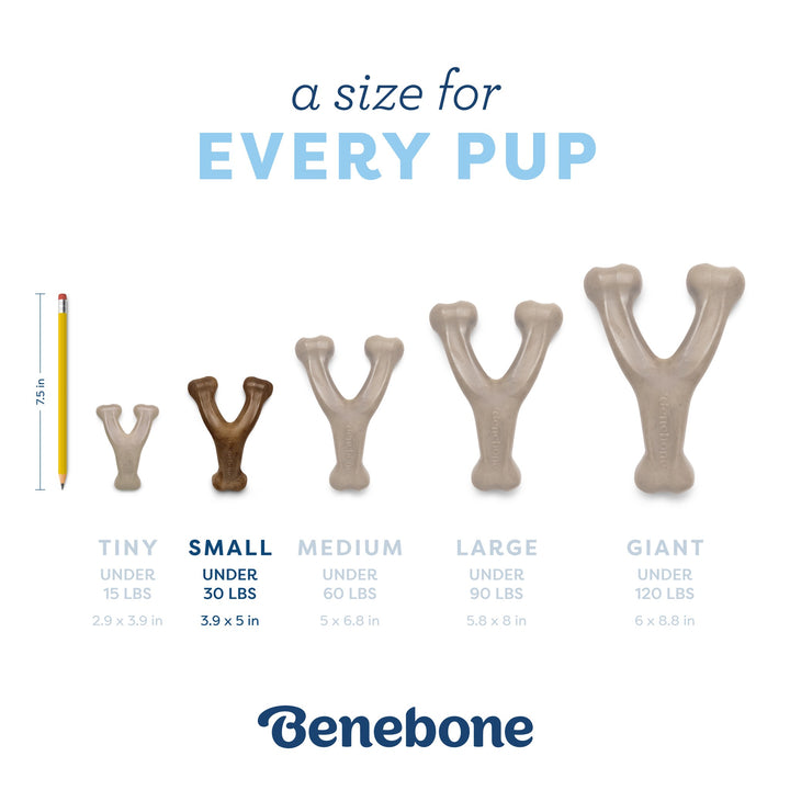 Benebone Small Puppy Bacon Wishbone
