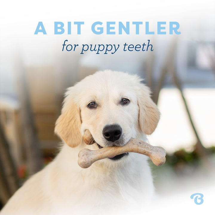 Benebone Small Puppy Bacon Wishbone