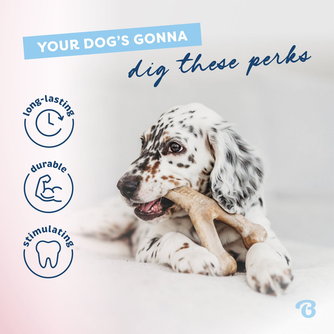 Benebone Small Puppy Bacon Wishbone