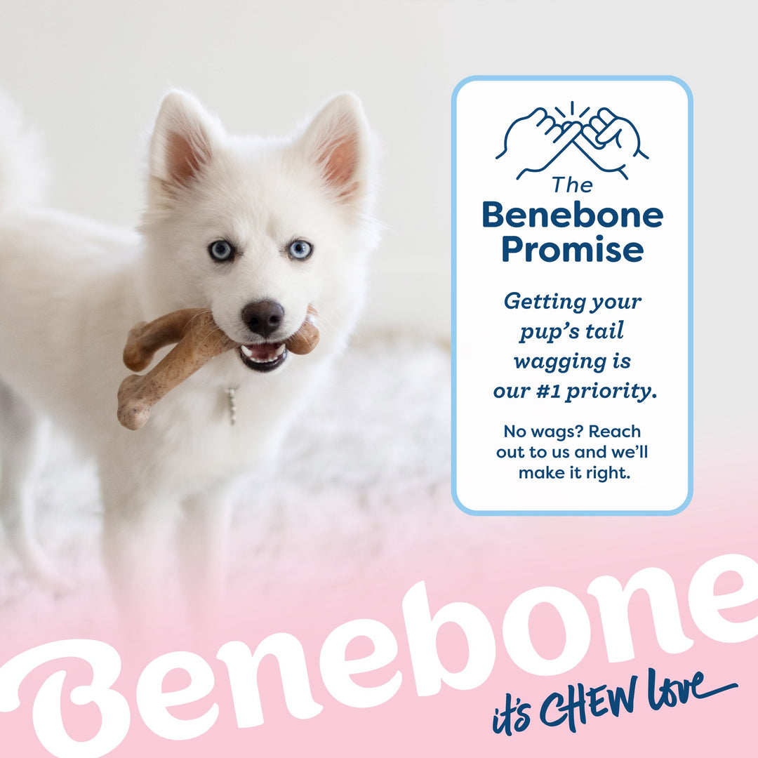 Benebone Small Puppy Bacon Wishbone